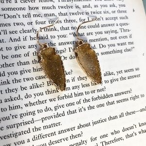 3 /35 DRUZZY ACRYLIC TASSEL EARRINGS